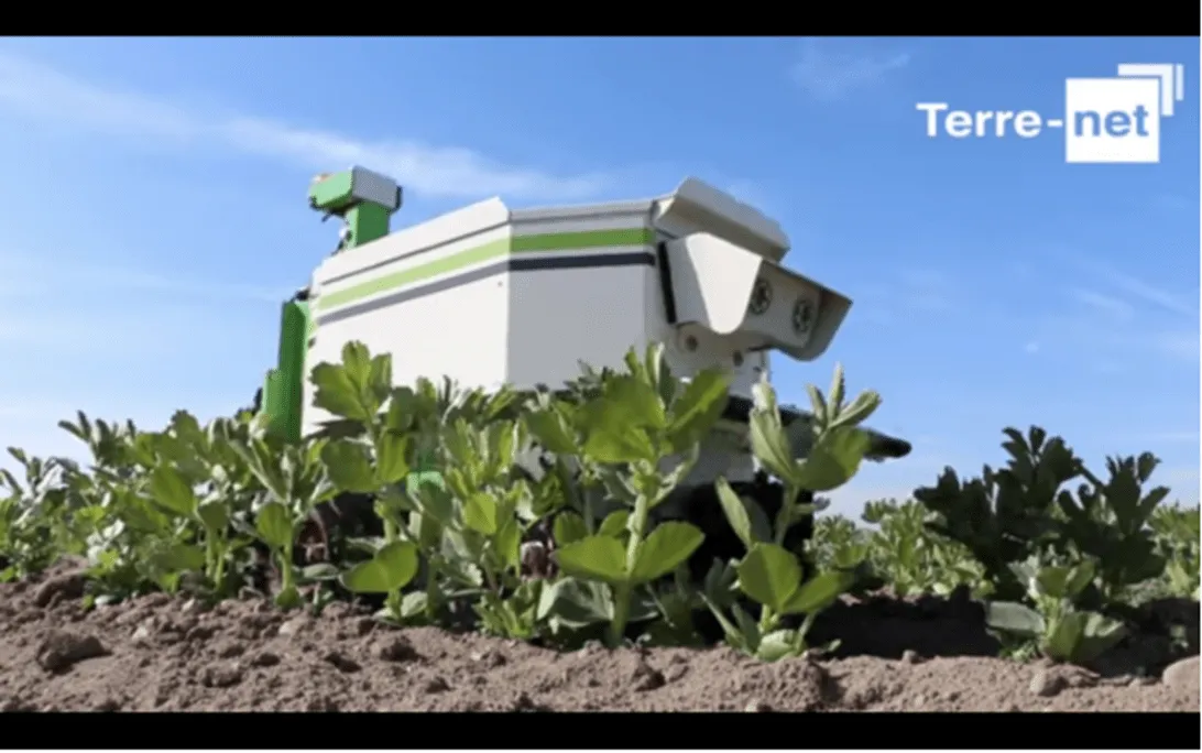 Robots Take on the Small Farm