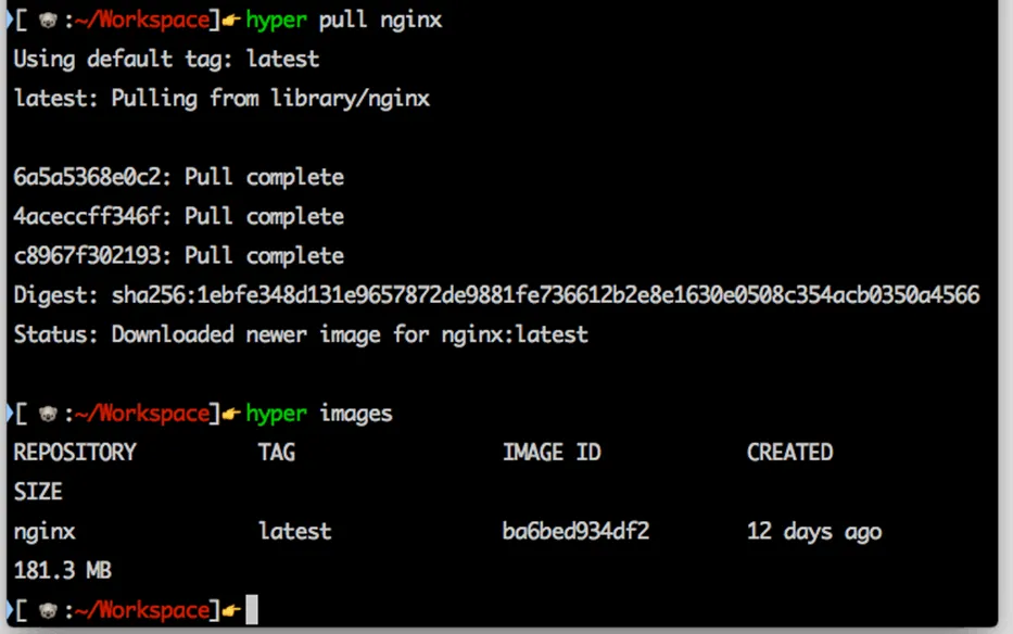 DigitalOcean Docker droplet setup screen — one-click Docker host provisioning
