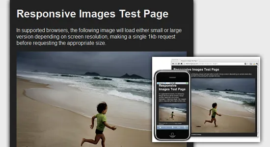 Filament Group's responsive images demo — technique that shrinks image resolution on smaller devices instead of just rescaling large images