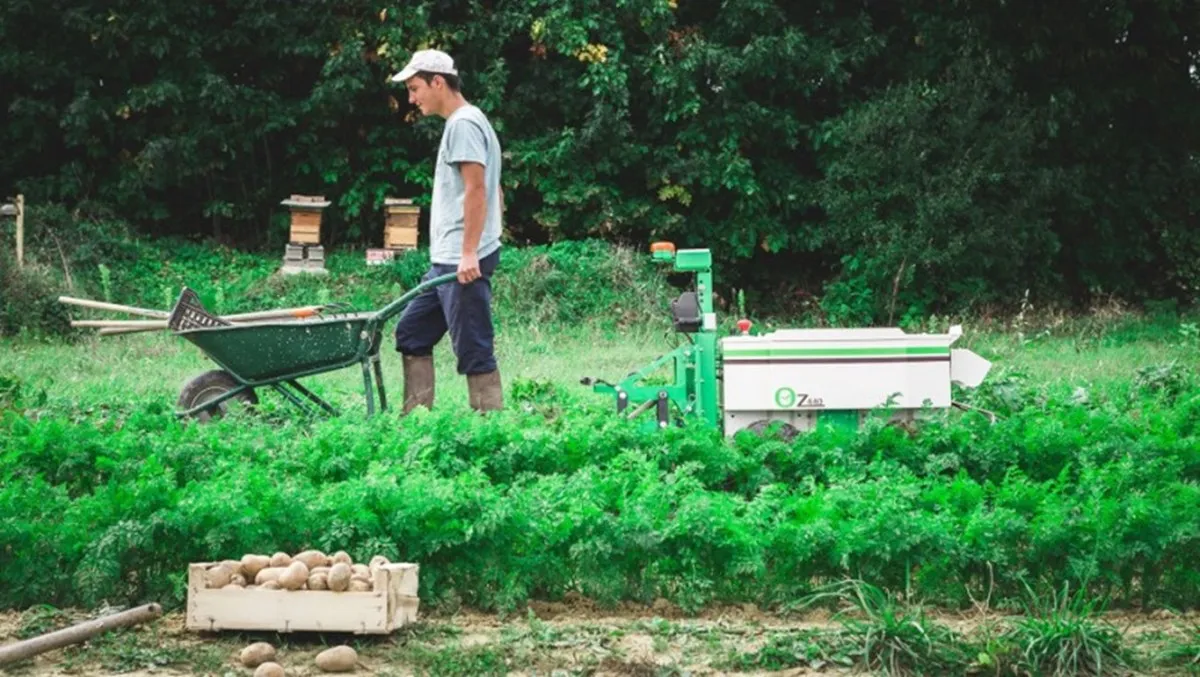 Rowbot field robot driving between corn rows — applies side-dress fertilizer late in the growing season without crushing plants