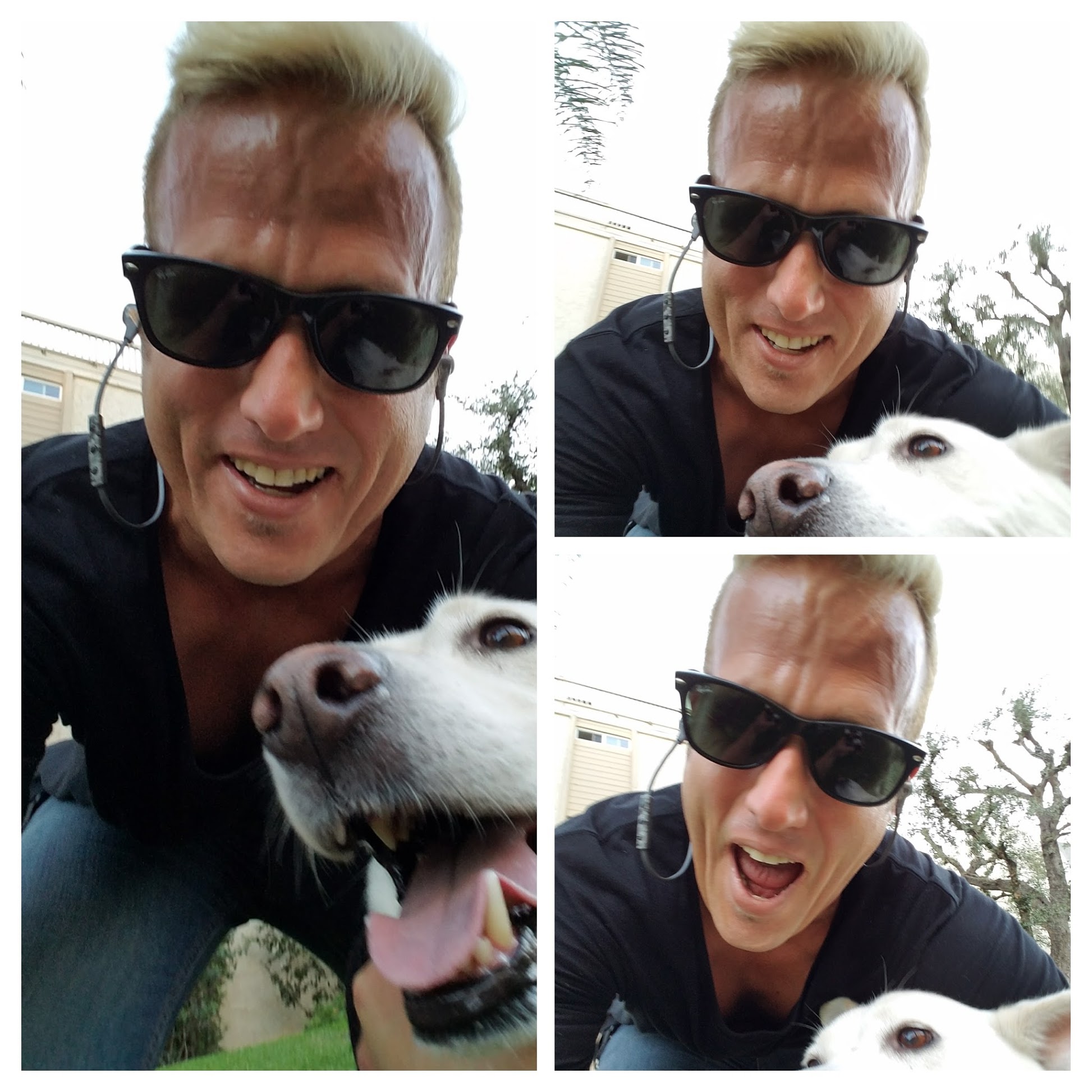 Volunteer Dog Walking at Your Local Shelter