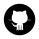 github-logo-icon-30
