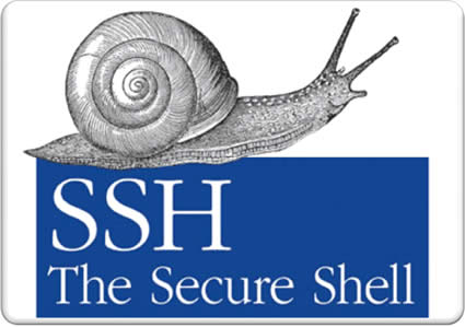 Use SSH on Windows to connect to Linux virtual machines or Docker Containers on Microsoft Azure from a Mac or Windows machine.