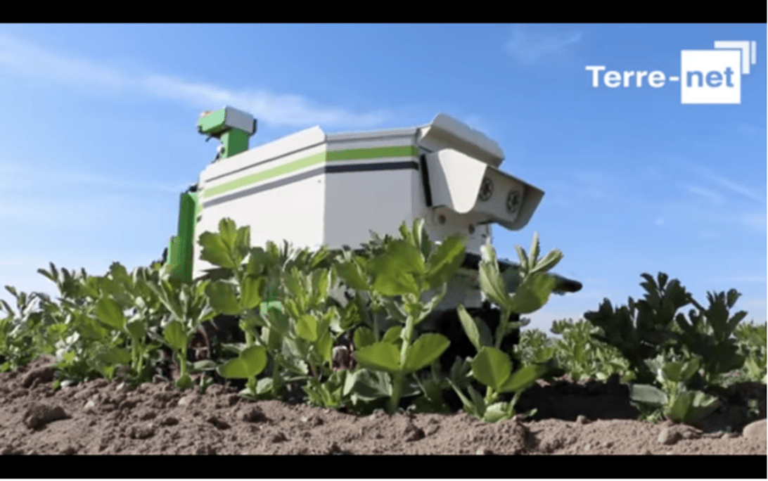 Robots Take on the Small Farm